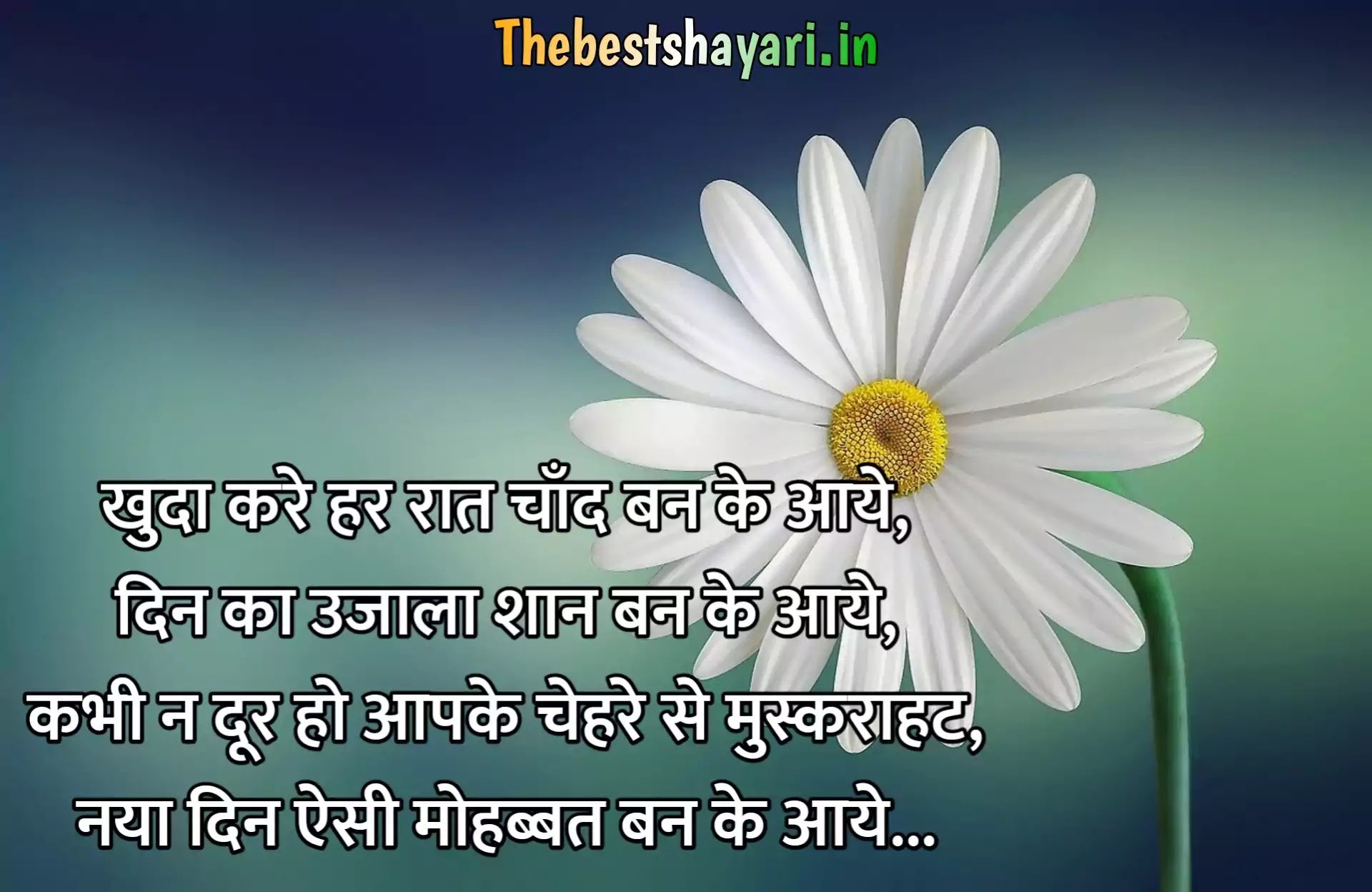 good morning whatsapp shayari