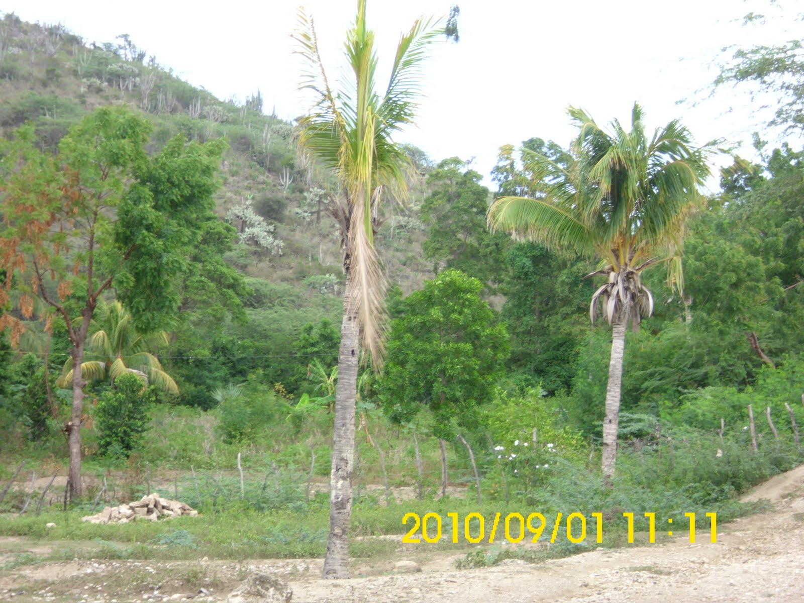Infos plus Image PHOTOS DE LA BAIE DES MOUSTIQUES