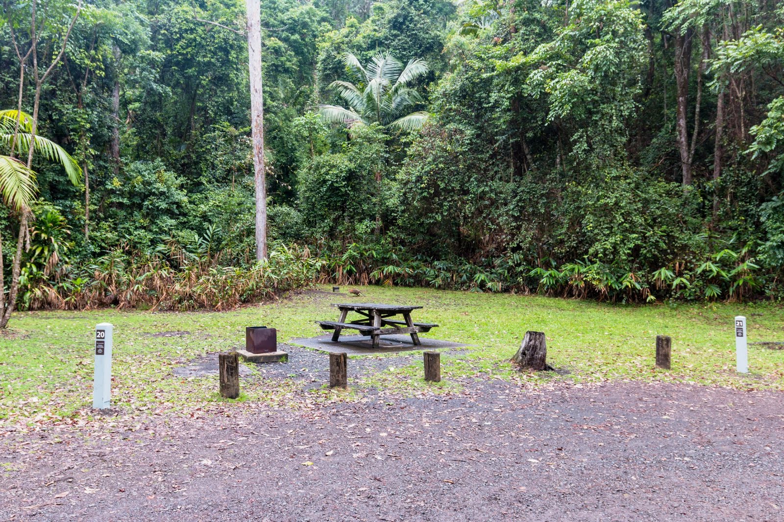 National Park Odyssey Sheepstation Creek Campground, Border Ranges National Park, NSW.