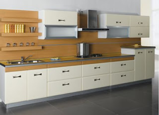 2011 modern classic kitchen cabinets