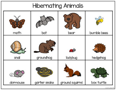 Teaching Resources For Hibernating Animals Freebie The W I S E Owl