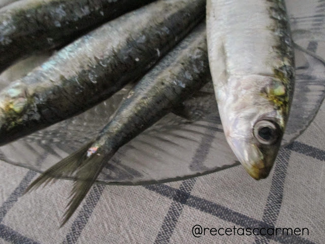 Sardinas, meses sin "R"