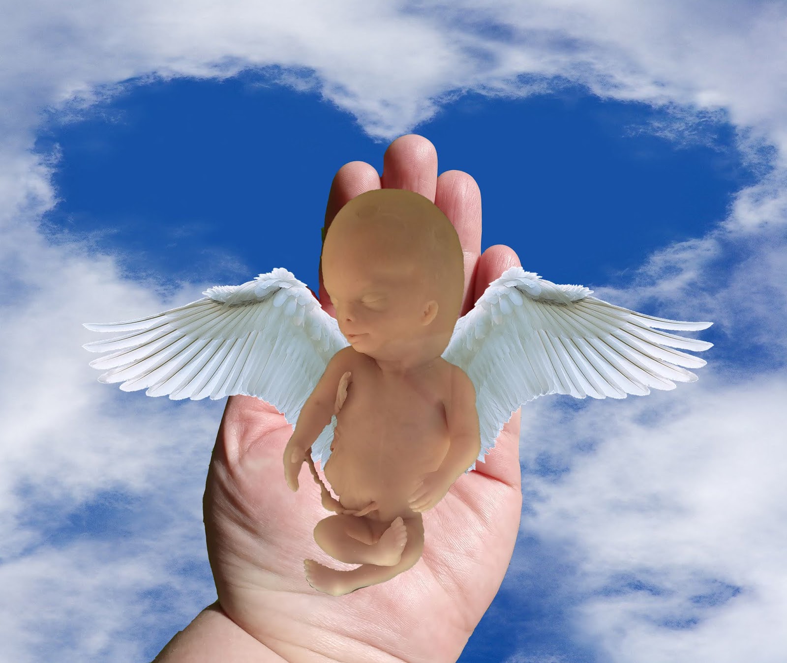 mrcerin Baby with angel wings