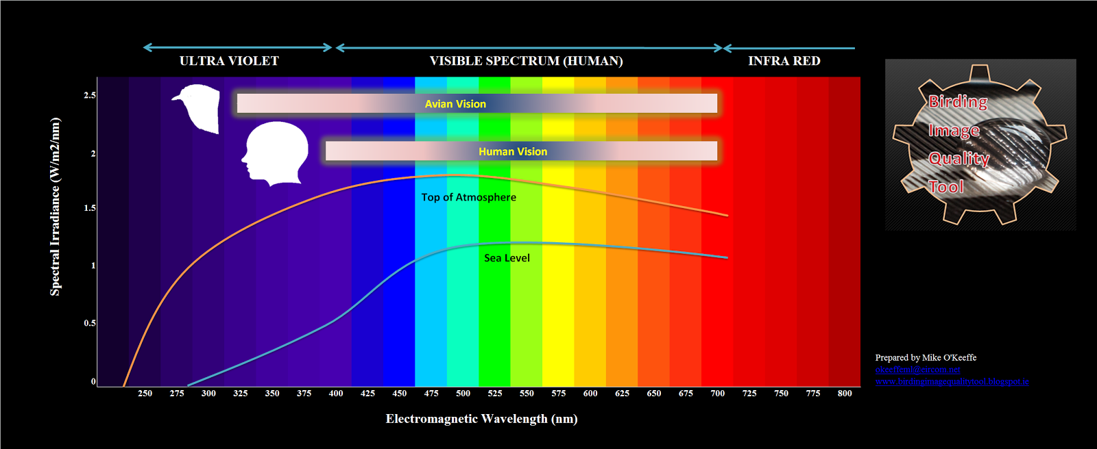 Birding Image Quality Tool Birds and Light UV Light