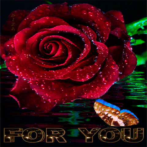 https://1.bp.blogspot.com/-97BuiBHV8kM/V3lI6bz1HPI/AAAAAAAA3Ck/bNCtjm3VvKADc8EUXD-5BzHmhD1OJprTgCLcB/s1600/V2.gif