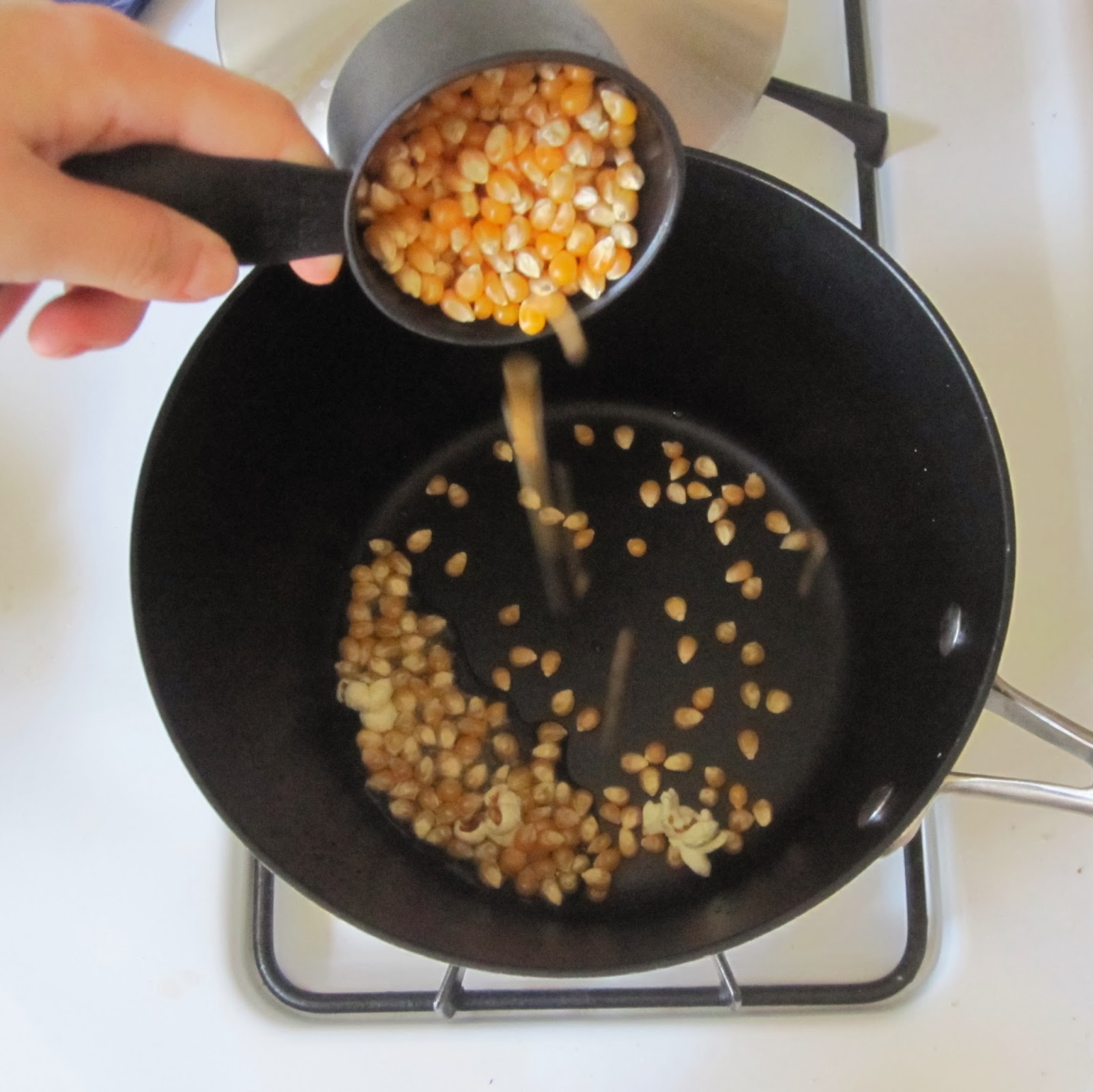 DIY Easy Homemade Stove Top Popcorn (with a variety of seasoning ideas
