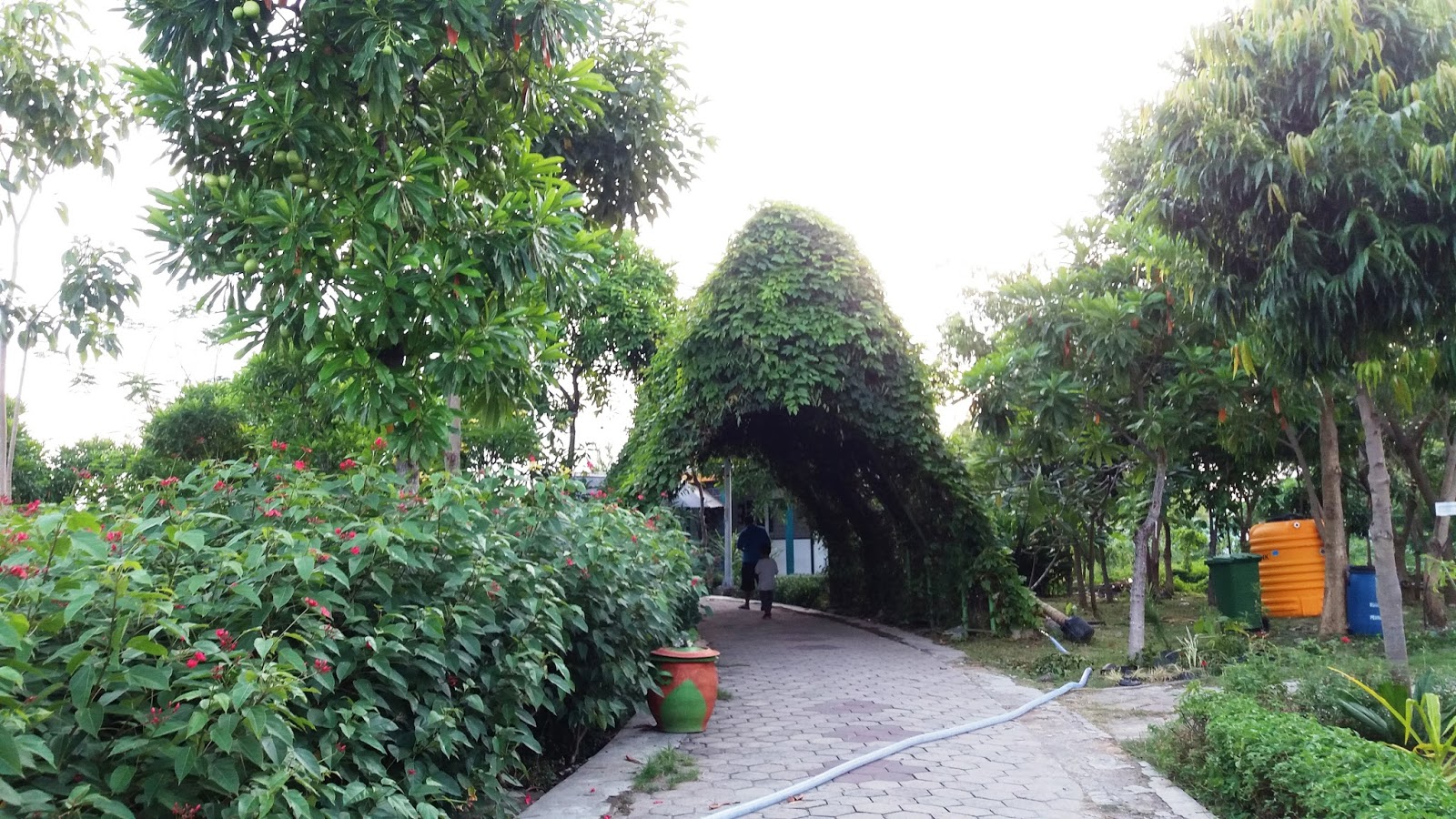 Wisata di  Surabaya  Taman Bunga  Sakura  Keputih Haya zone