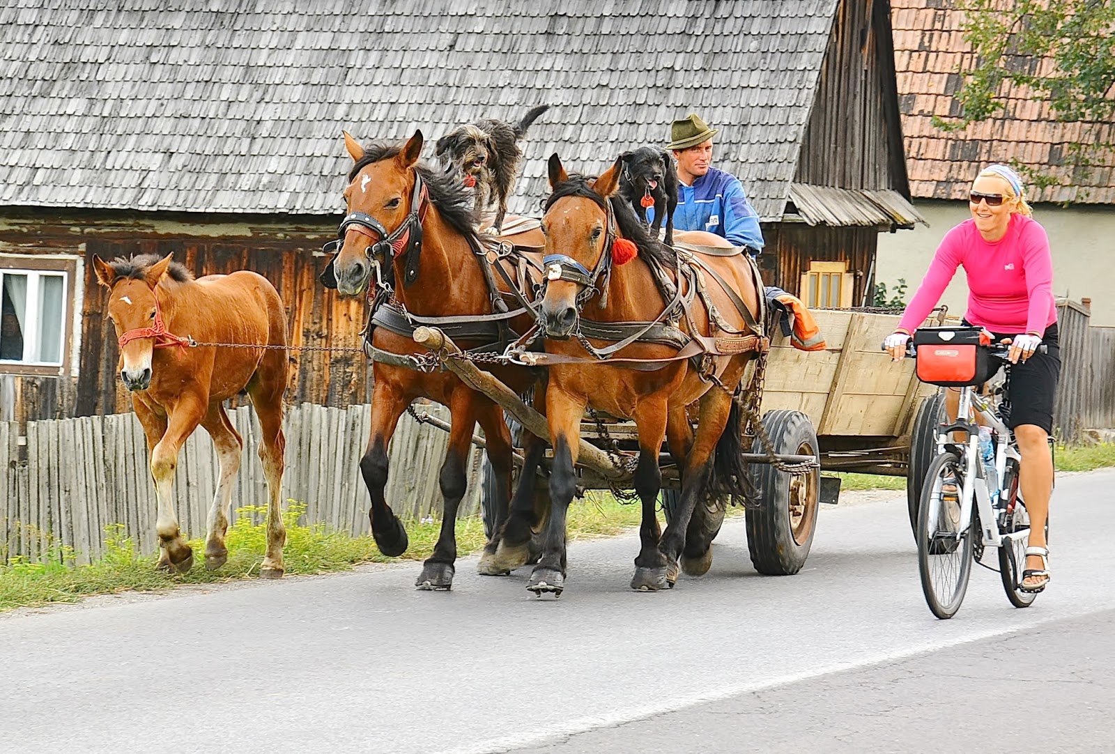 passion and art the camera can see what our eyes can't only for