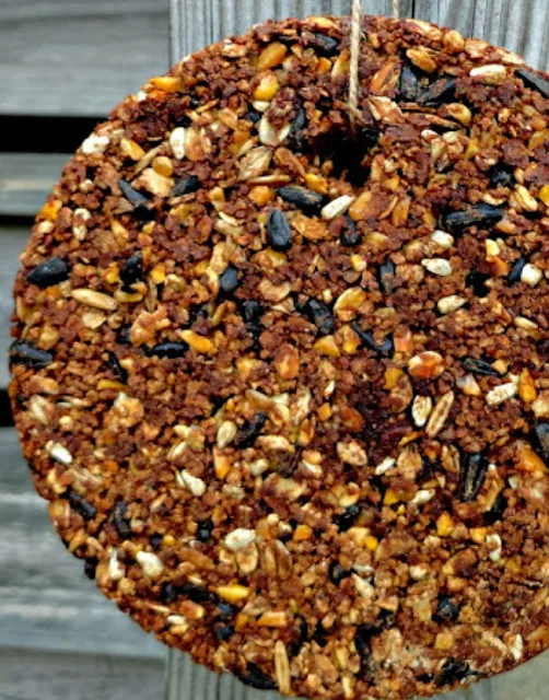 Flock Block Knock Off Homemade Chicken Treat Fresh Eggs Daily® with