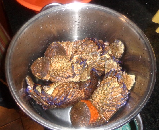 As Receitas do Meu Pitucho: CAVACO...