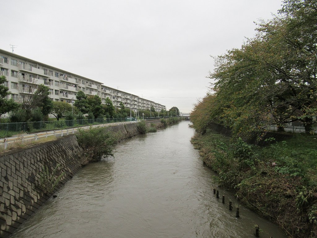 せんげん台発 自転車散歩日記 台風19号の上陸から一週間後の新方川及び元荒川