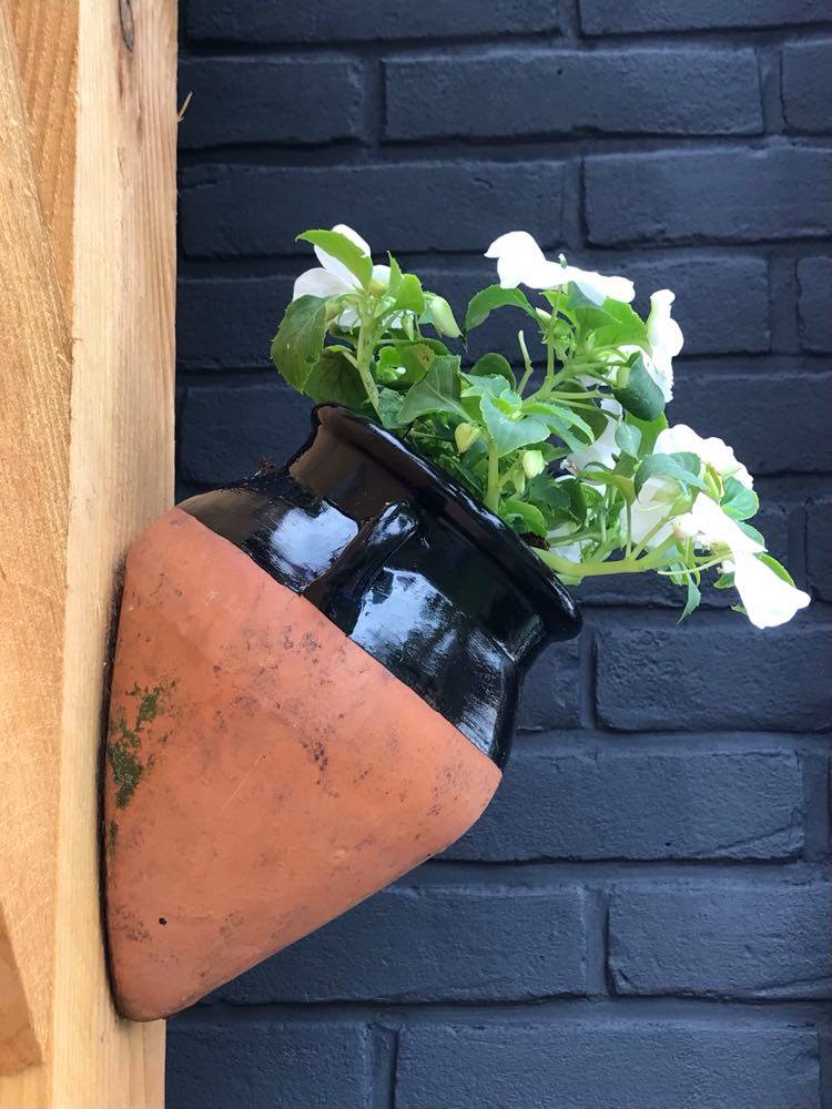 Old Plant Pots Looking Like New