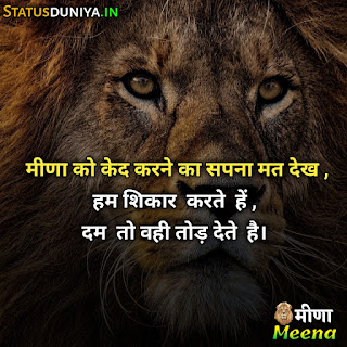 Meena Attitude Shayari Status In Hindi 2022