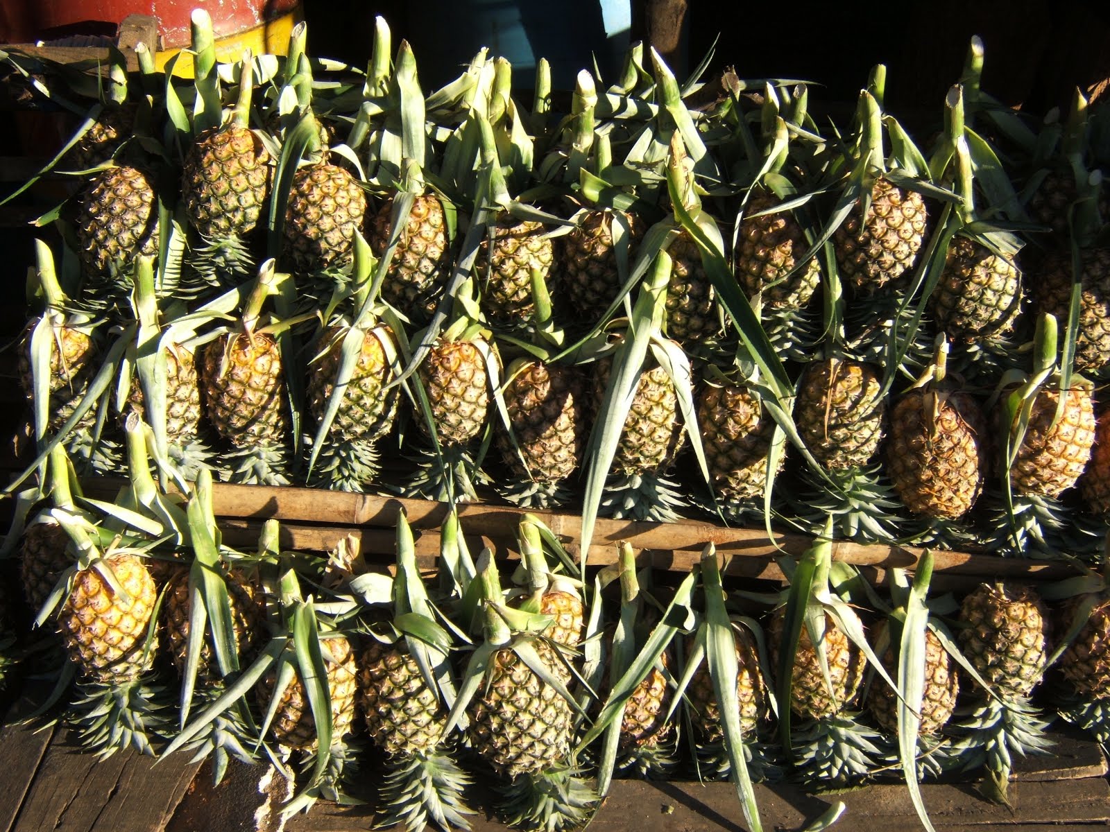 Photo of Prachuap Khiri Khan Province, Thailand The first Pattawia