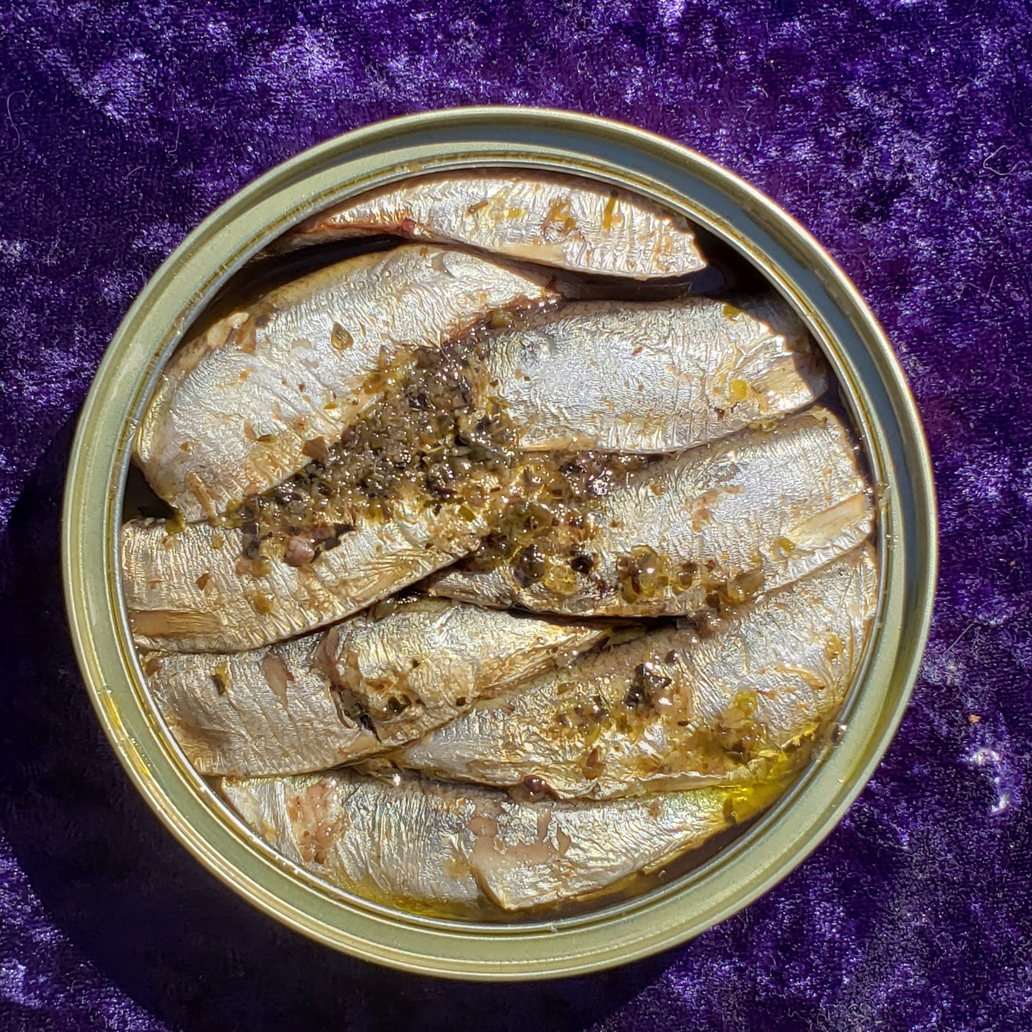 Mouth Full of Sardines KING OSCAR 22