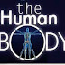 Very Interesting Facts about Human Body.