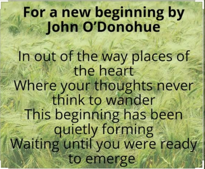 Journal Serious and Trivial John Donohue