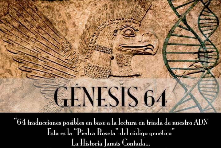 Genesis 64