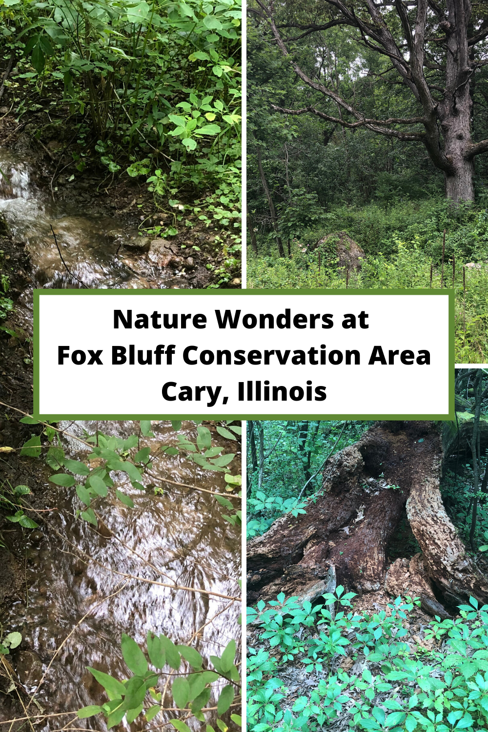 A Little Time and a Keyboard Rolling Trails and Rambling Water Entice