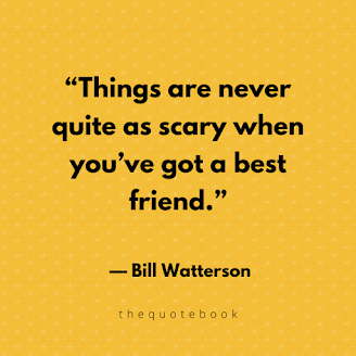 30 Beautiful Friendship Quotes - Quotebook