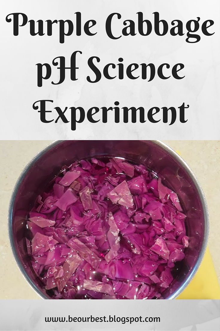 Be Our Best Purple Cabbage pH Science Experiment