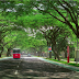 Cluster Tiara, Feronia Dan Victoria Alam Sutera