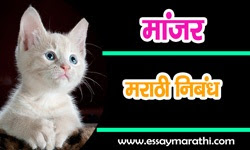 my pet cat essay in marathi | माझा आवडता प्राणी मांजर मराठी निबंध - Essay  and Biography