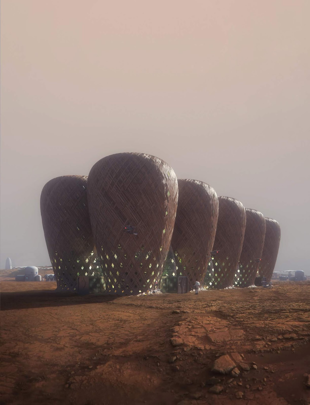 Where to stay on Mars? Robots could weave bamboo pods on the red