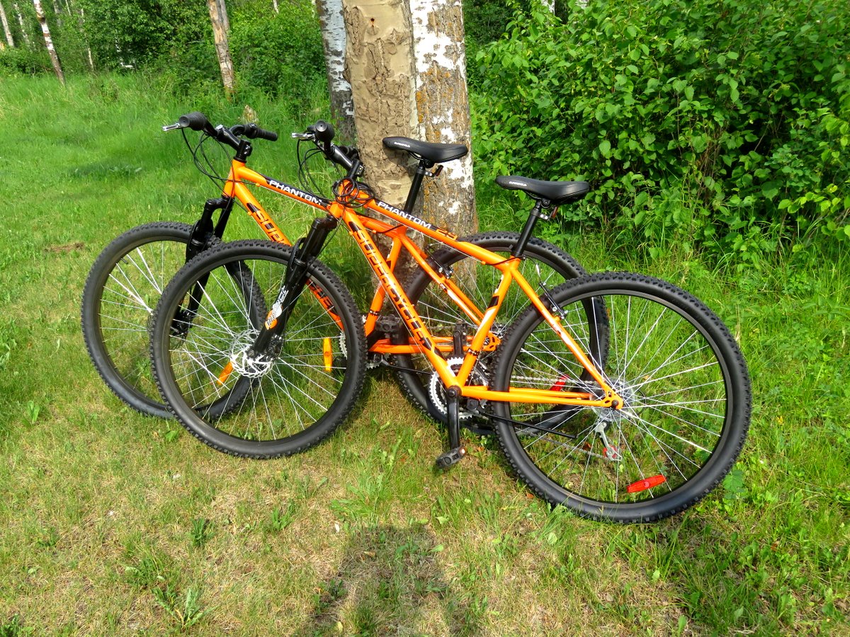 canadian tire exercise bikes