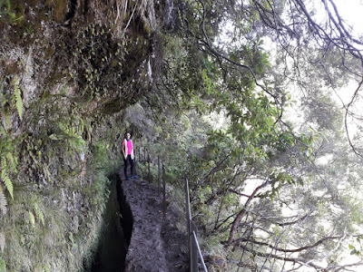 senderismo-madeira-levada-queimadas-enlacima
