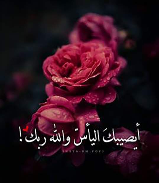 أجمل صور عام 2021. أجمل وأروع صور عام 2021 زينة