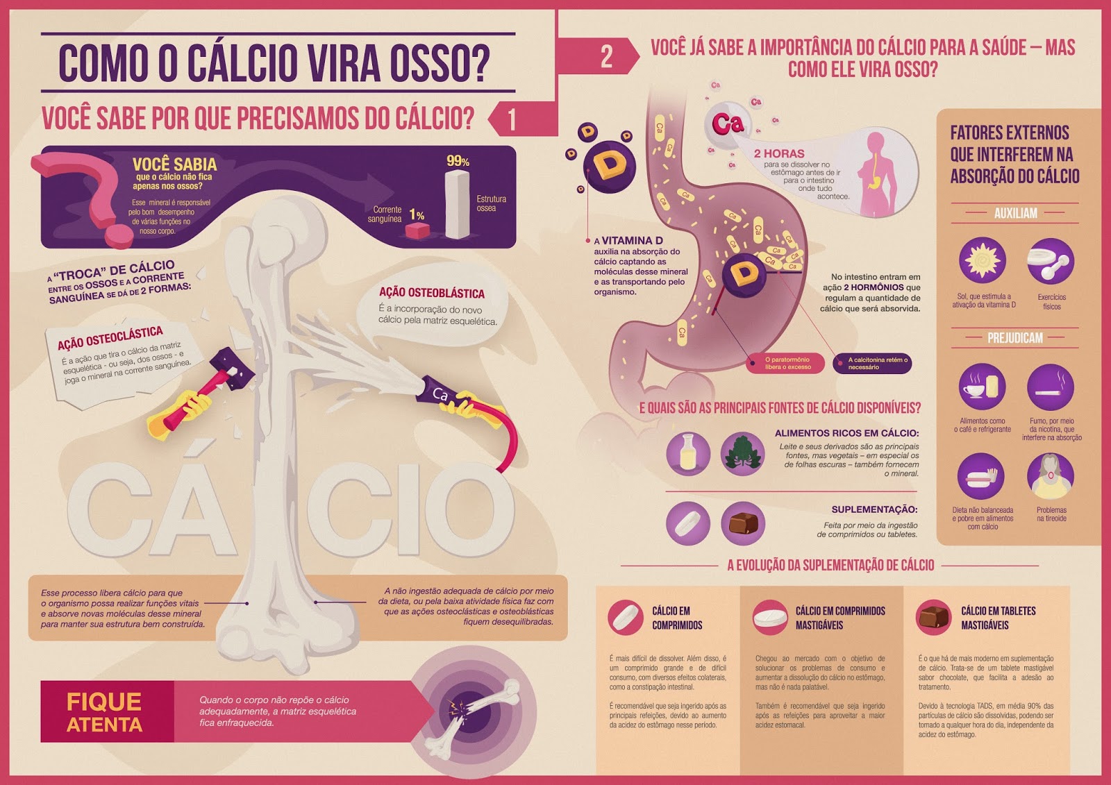 Nomes De Calcio Para Os Ossos - NAZAEDU