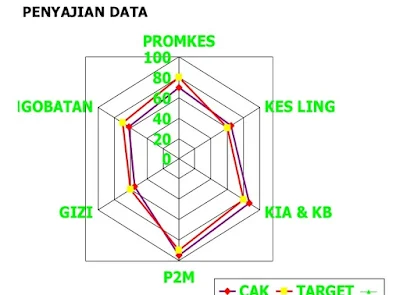 Gambar Hasil Penilaian Kinerja Puskesmas