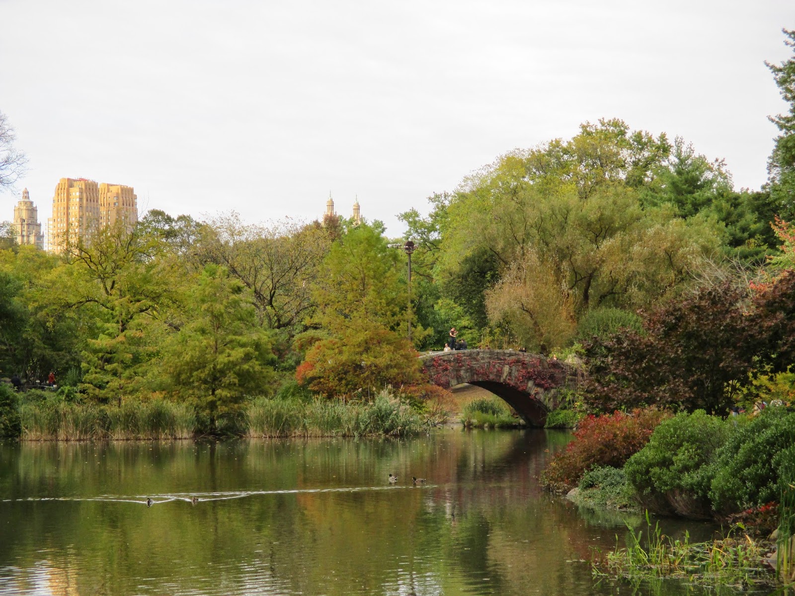 Central Park New York City