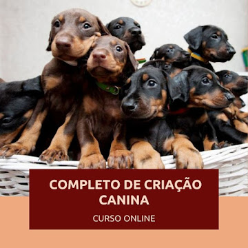 Curso Completo de Criação Canina (curso on-line)