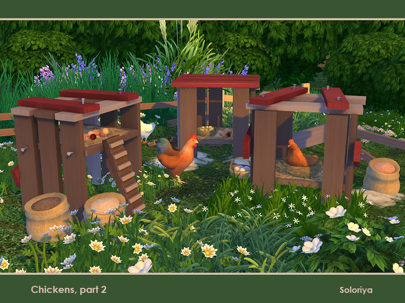 soloriya Chickens, part 2. Sims 4