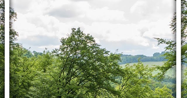 Trout Stalking Fliegenfischen Am Saubach Im Odenwald