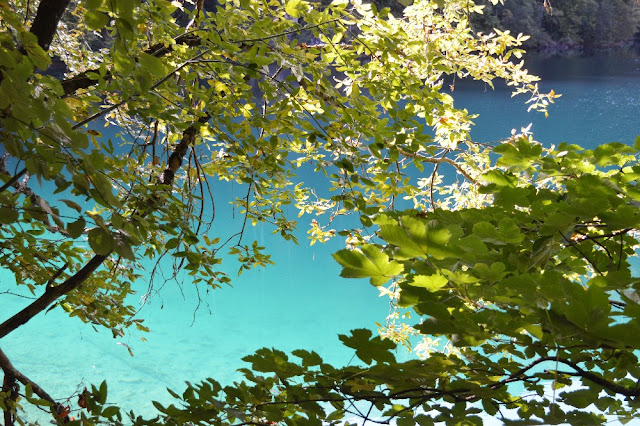 lago di tovel escursioni come arrivare