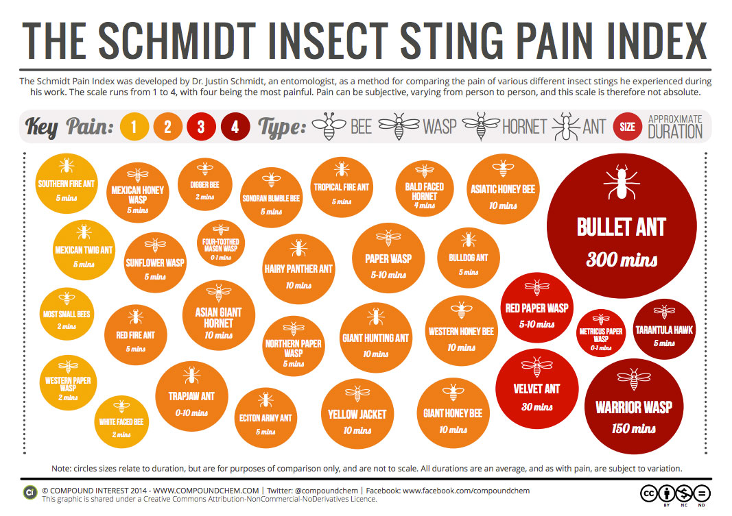 Great Big STING PAIN INDEX