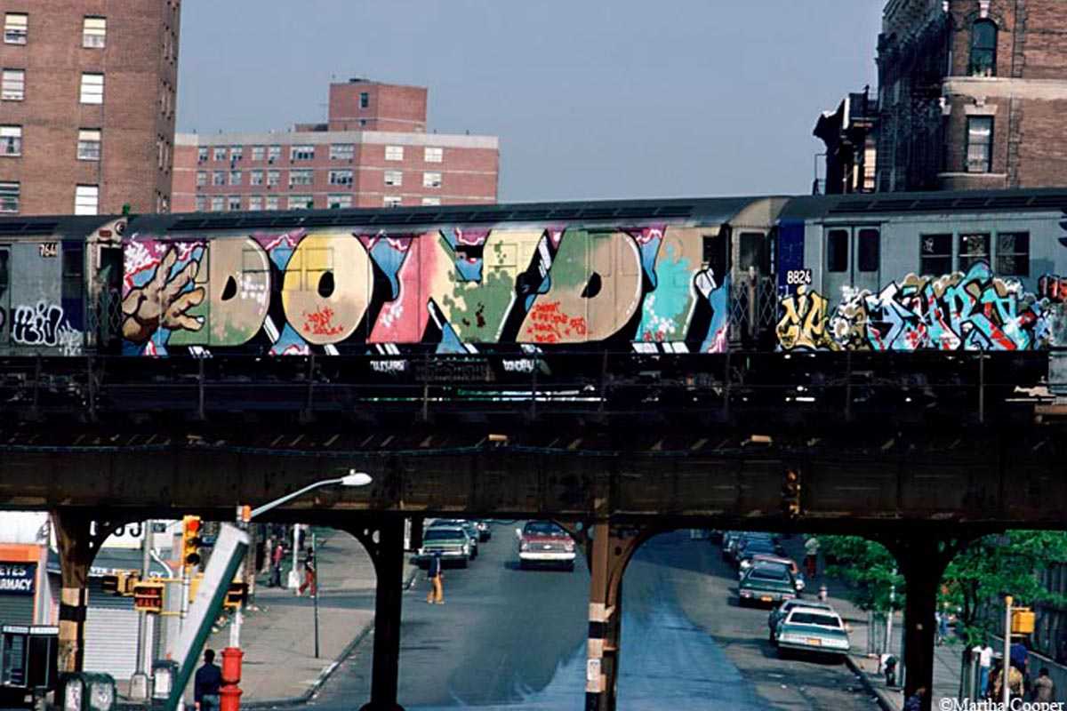 Streetart Von Sonny In New York City Mandla Das Lowen Mural