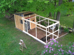 chicken coop pallet pallets building fort coops plans diy run chickens suess aka op build designs ask questions much would