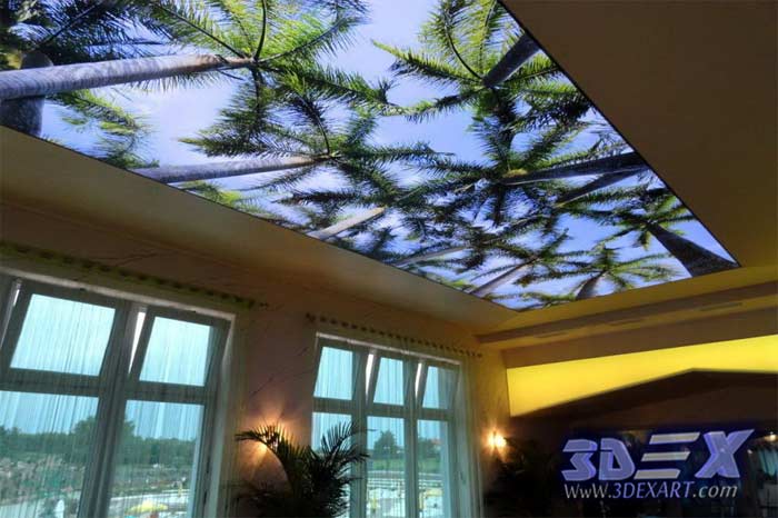 3d Stretch Ceiling Designs Diy And Modern Ceiling Art