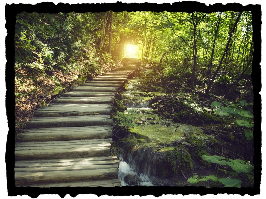 The garden of dreams four things we can learn from joseph the dreamer