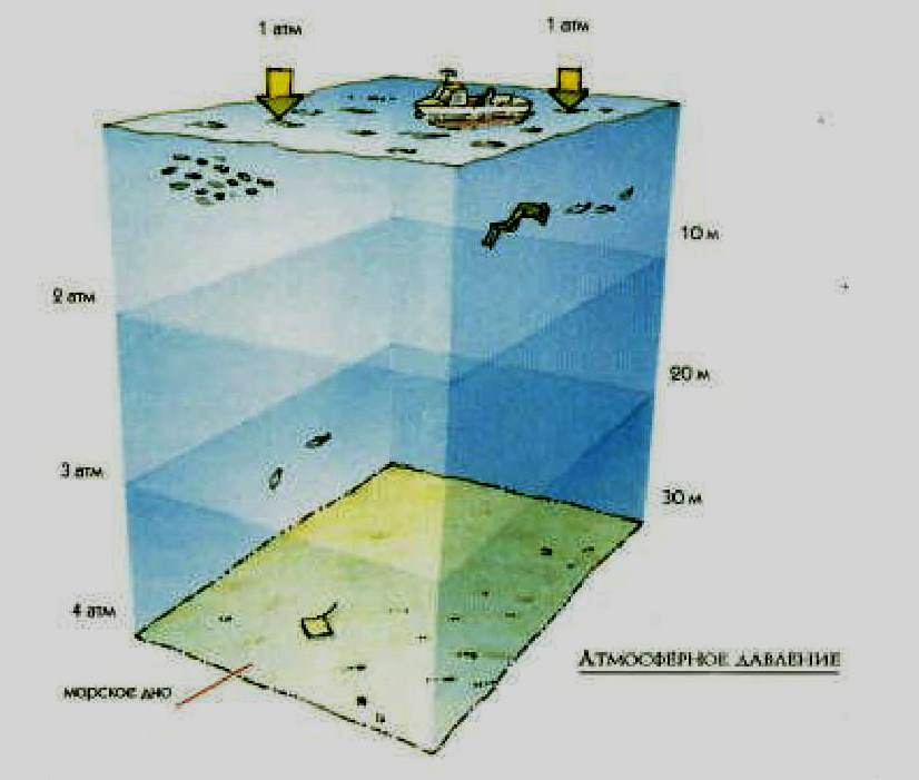 Рассчитайте давление воды на рыбку. Давление воды на глубине. Давление под водой. Давление воды на глубине 1000 метров. Давление воды на глубине 100 метров.