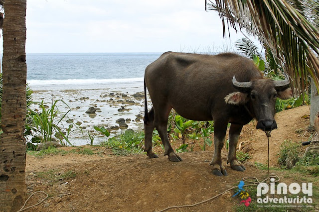 Things To in Batanes