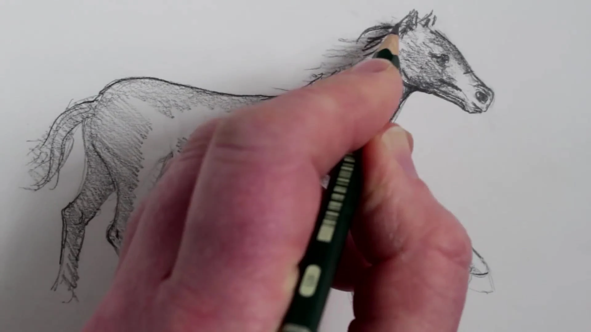 رسم حصان بالرصاص