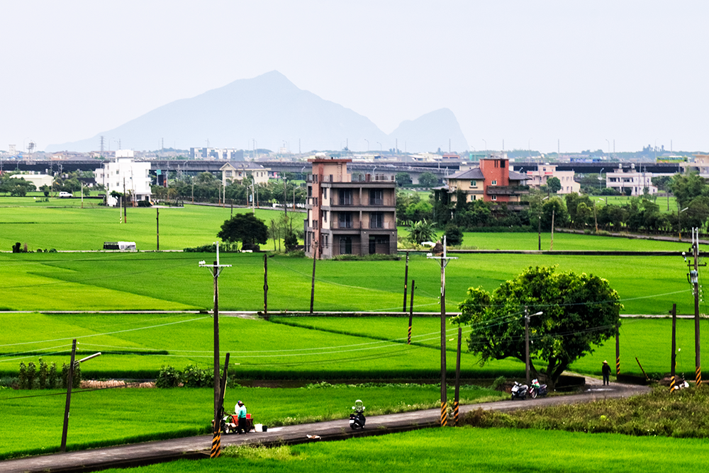 ［宜蘭縣頭城鎮］龜山島登島日記