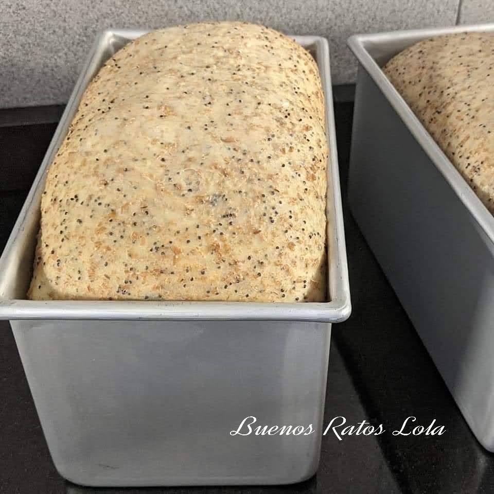 Pan de moldebrioche semiintegral con semillas de amapola en