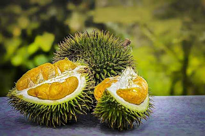 Interesting Durian fruit facts