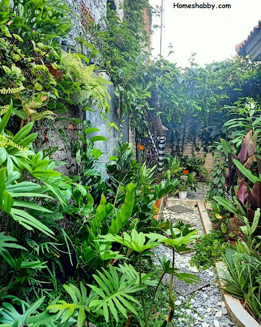 7 Gambar Desain Taman Kecil 1 x 1 M, Bikin Suasana Jadi Sejuk dan